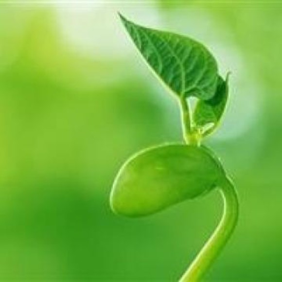 Meet your Posher, Paula - Picture 1 of 1